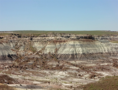 Jasper Forest in the Petrified Forest